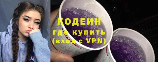 дурь Заводоуковск