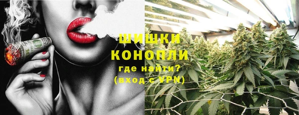 стаф Ельня