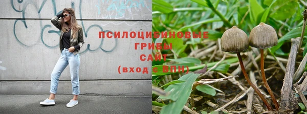 гашик Заволжье