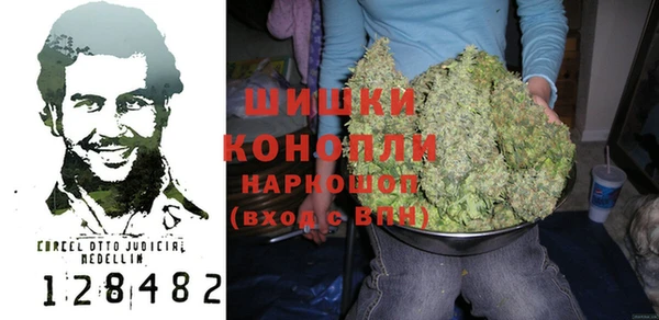 гидра Заволжск