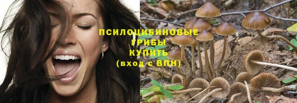 дурь Заводоуковск