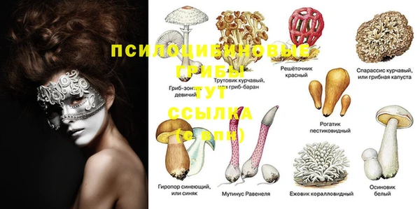 COCAINE Ахтубинск