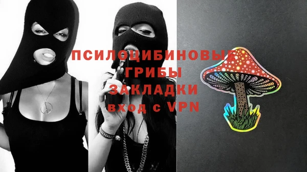 дурь Заводоуковск