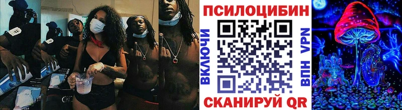 Псилоцибиновые грибы мицелий  где найти   Зарайск 